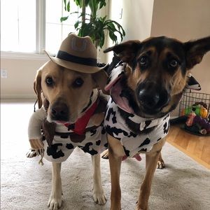 Meet your Posher, Angel